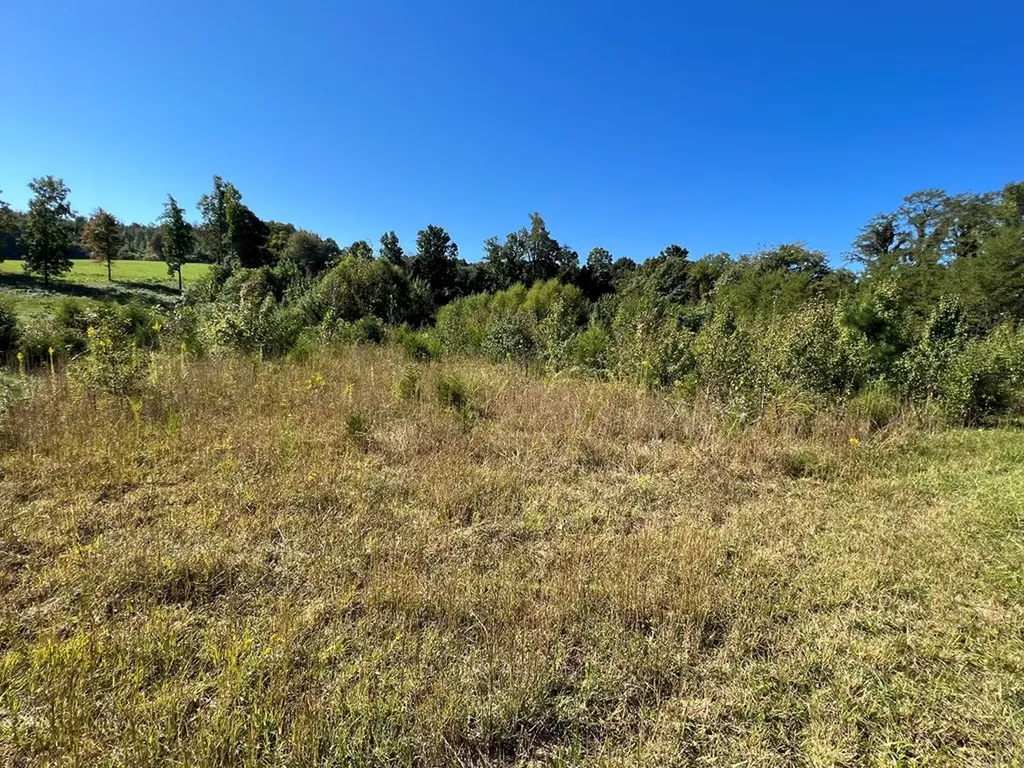 0 W Main/old Highway 42 Byrdstown TN 38549