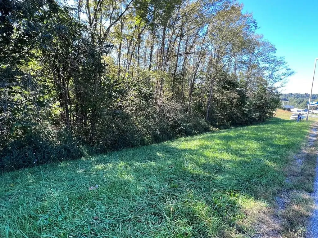 4.12 Ac Highway 42 Bypass/tulip Avenue Byrdstown TN 38549