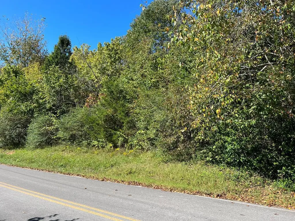 4.12 Ac Highway 42 Bypass/tulip Avenue Byrdstown TN 38549