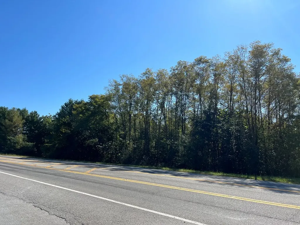 4.12 Ac Highway 42 Bypass/tulip Avenue Byrdstown TN 38549