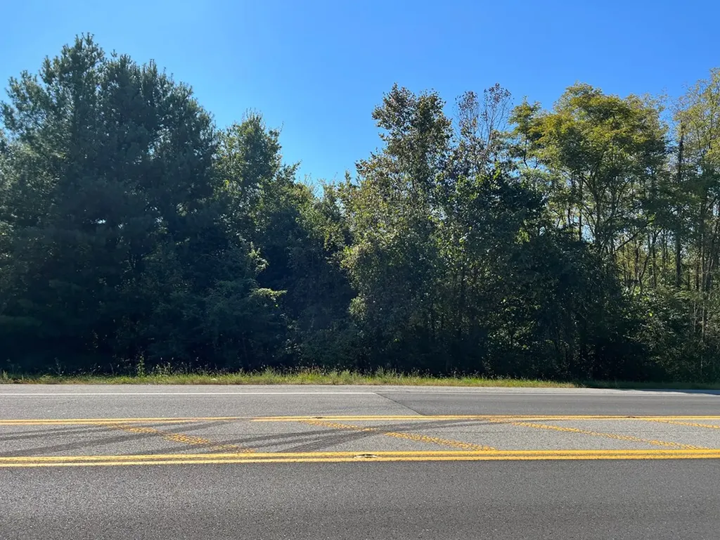 4.12 Ac Highway 42 Bypass/tulip Avenue Byrdstown TN 38549