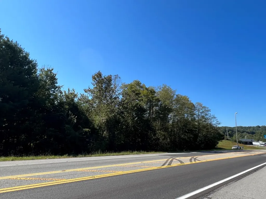 4.12 Ac Highway 42 Bypass/tulip Avenue Byrdstown TN 38549