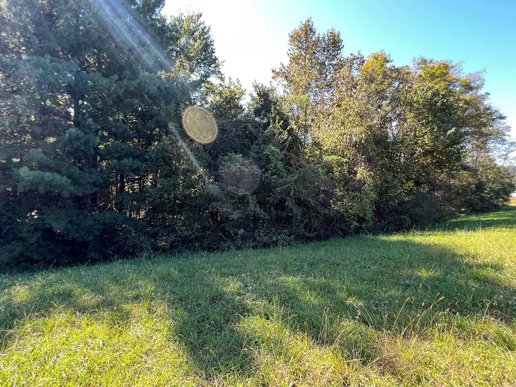 4.12 Ac Highway 42 Bypass/tulip Avenue Byrdstown TN 38549