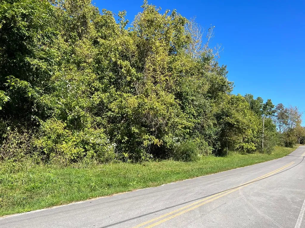 4.12 Ac Highway 42 Bypass/tulip Avenue Byrdstown TN 38549