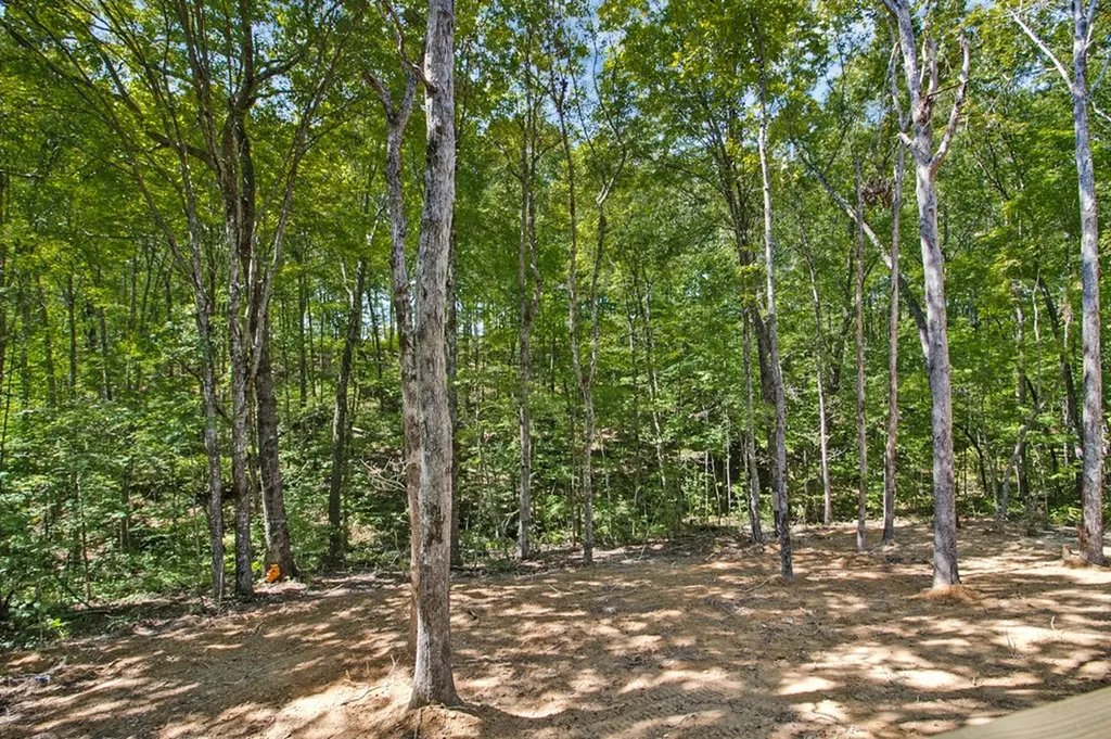 152 Northwood Drive Jamestown TN 38556