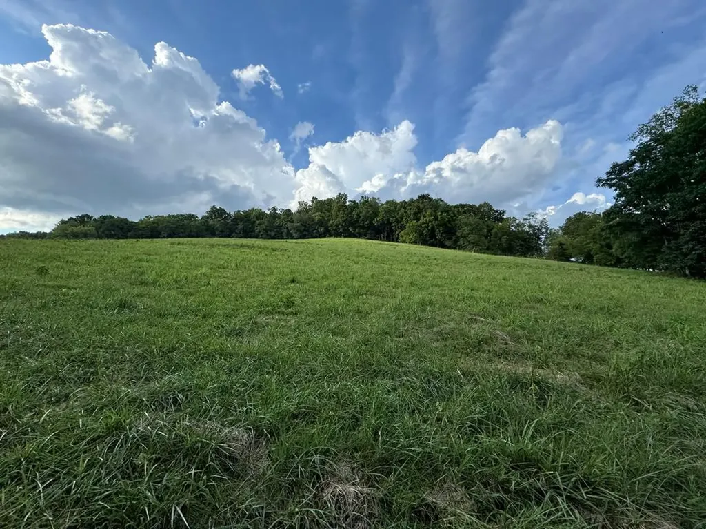 54.79ac Gladdice Highway Gainesboro TN 38562