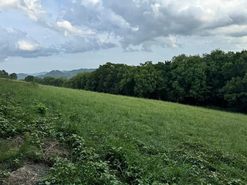 54.79ac Gladdice Highway Gainesboro TN 38562