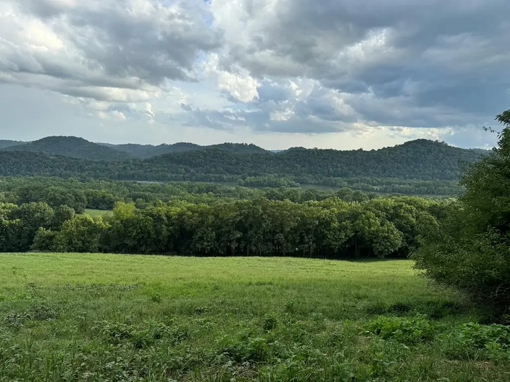 54.79ac Gladdice Highway Gainesboro TN 38562