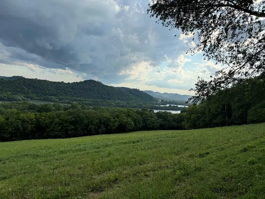 54.79ac Gladdice Highway Gainesboro TN 38562