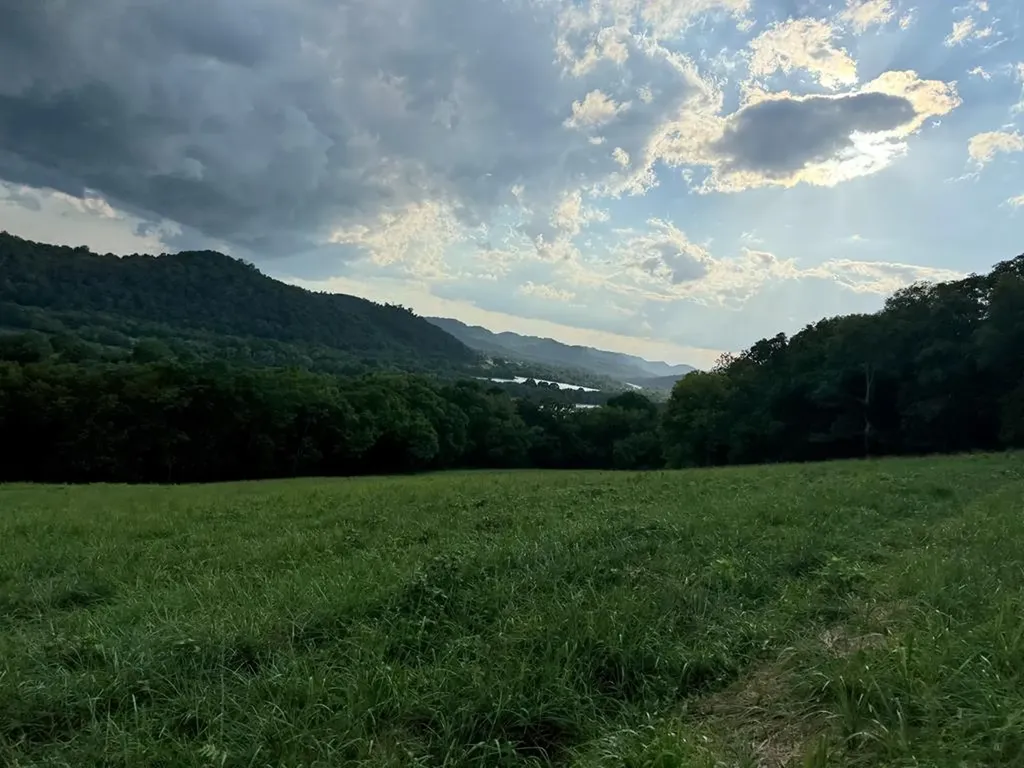 54.79ac Gladdice Highway Gainesboro TN 38562