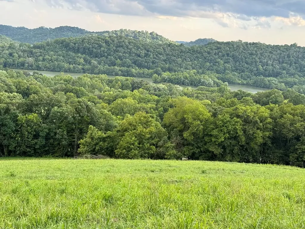 54.79ac Gladdice Highway Gainesboro TN 38562