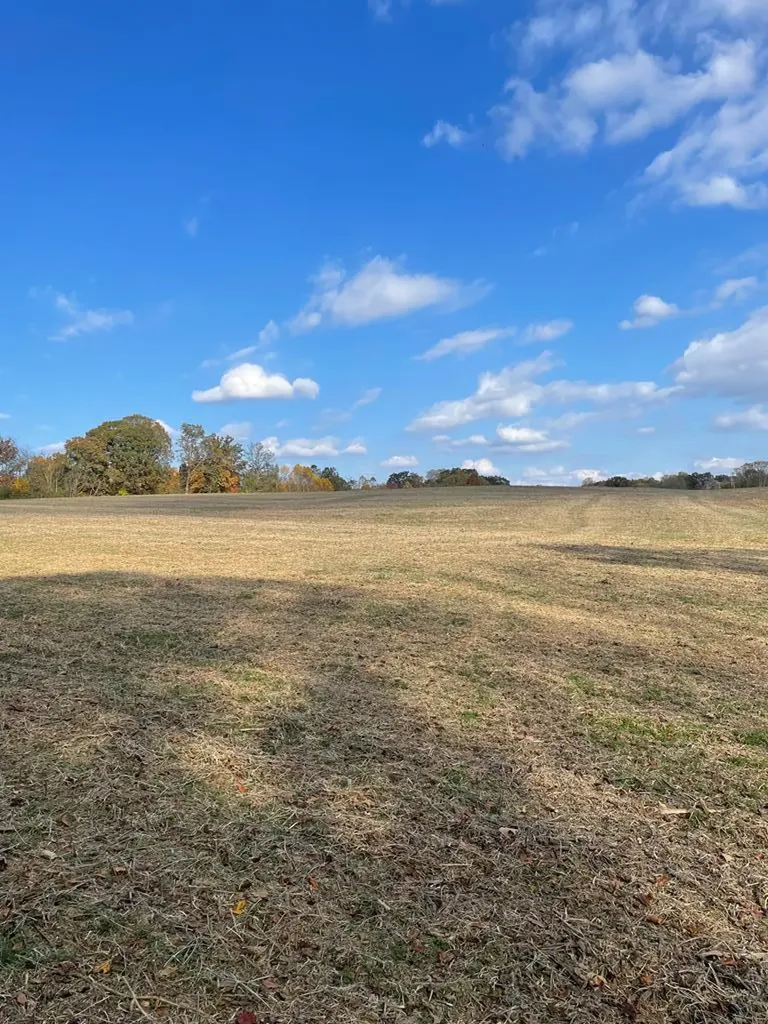 11.33 Ac Burgess Falls Road Baxter TN 38544