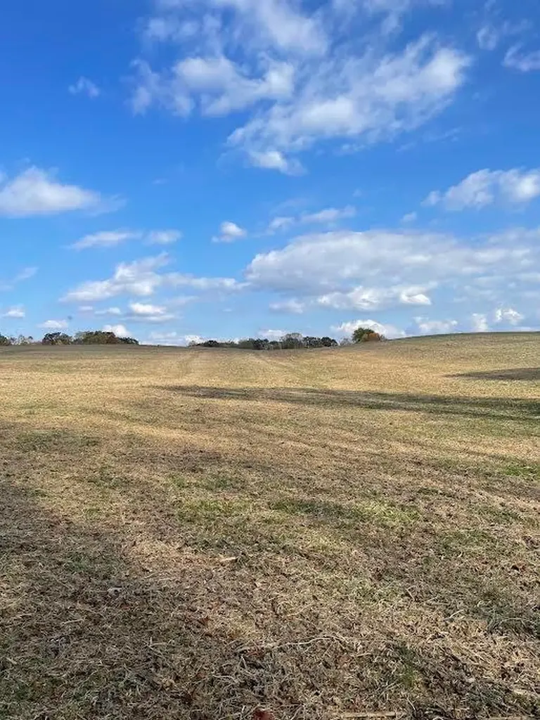 11.33 Ac Burgess Falls Road Baxter TN 38544