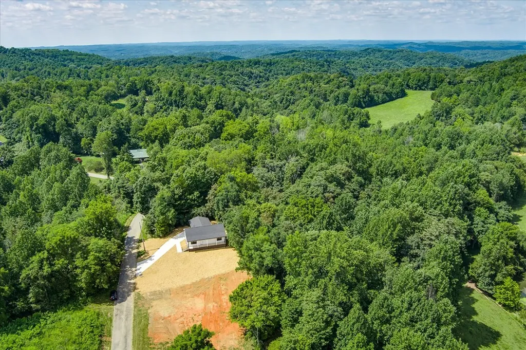 2385 Pea Ridge Fire Tower Celina TN 38551