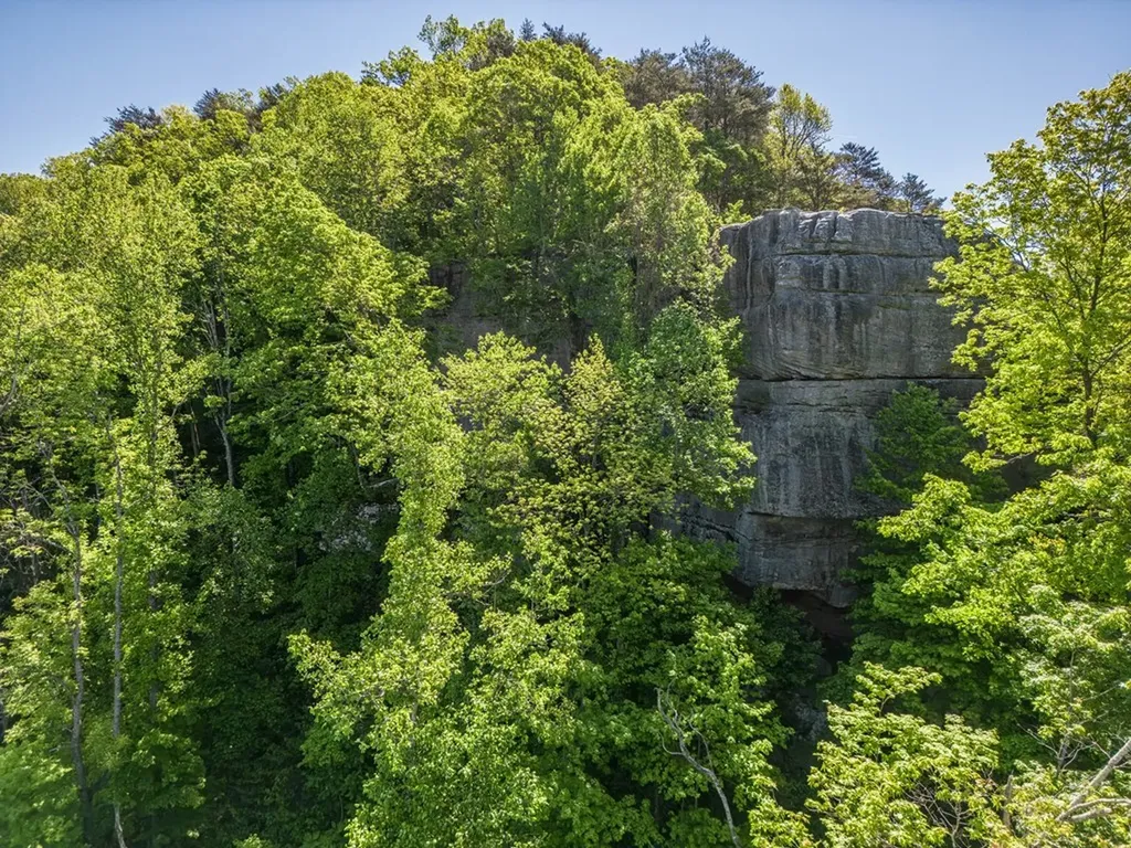 1121 Eagle Roost Court Monterey TN 38574