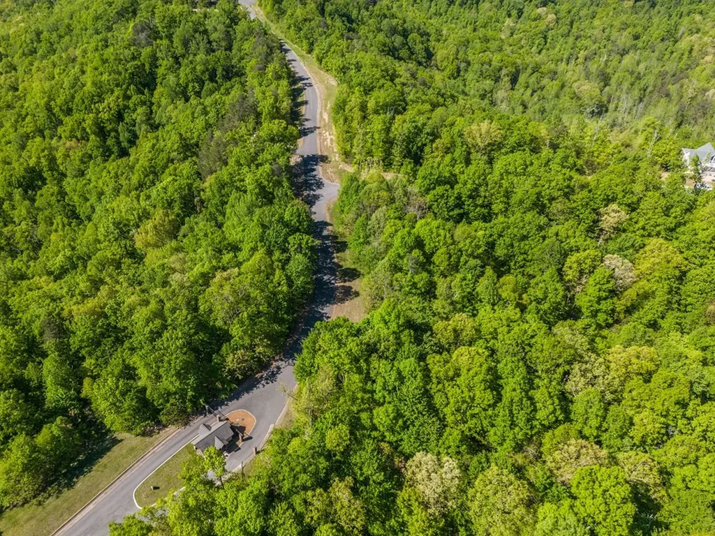 1121 Eagle Roost Court Monterey TN 38574