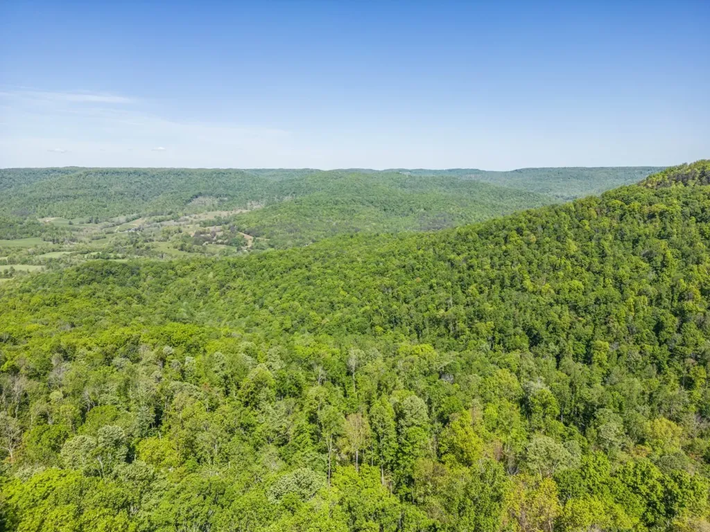 716 Eastridge Pass Monterey TN 38574