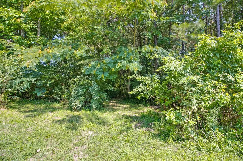 172 Davis Cook Road Grimsley TN 38565