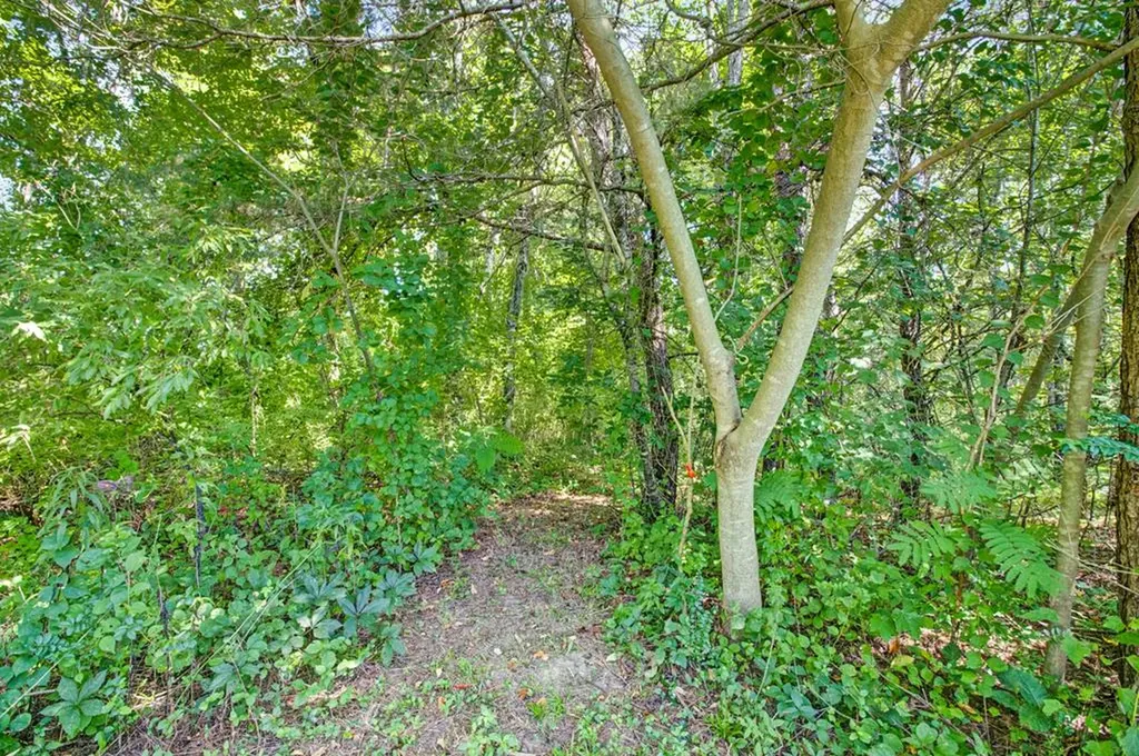 172 Davis Cook Road Grimsley TN 38565