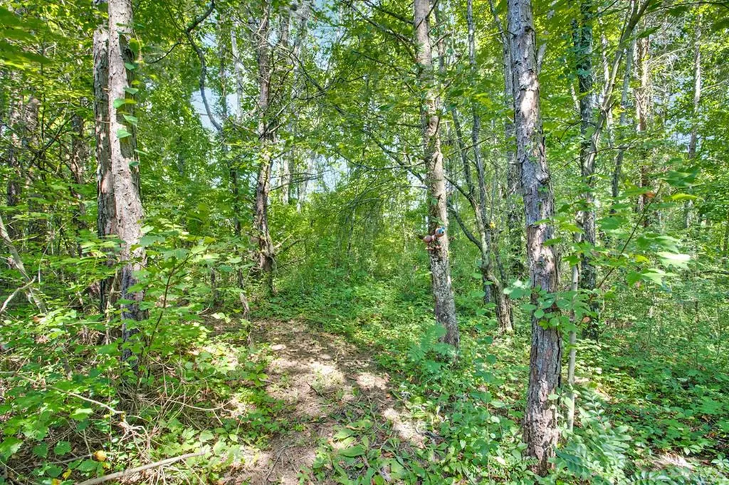 172 Davis Cook Road Grimsley TN 38565