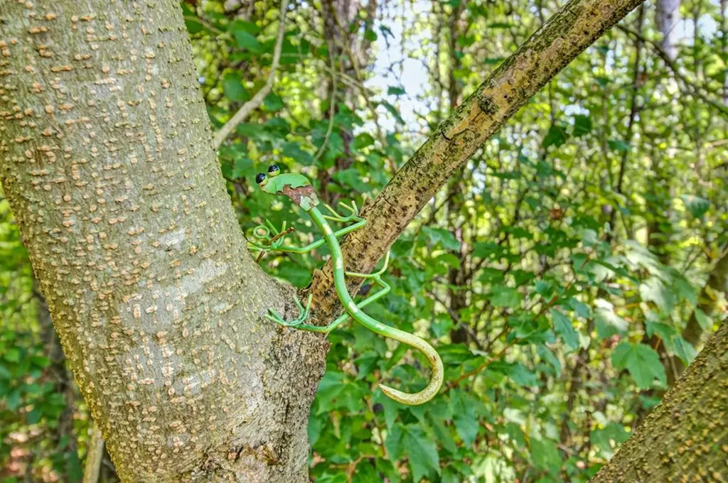 172 Davis Cook Road Grimsley TN 38565