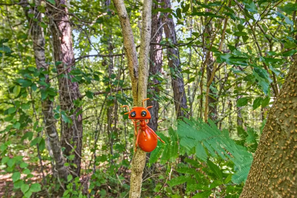 172 Davis Cook Road Grimsley TN 38565