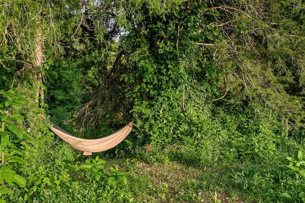 227 Lake Bluff Road Baxter TN 38544