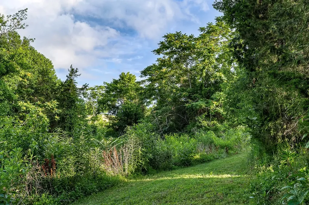 227 Lake Bluff Road Baxter TN 38544