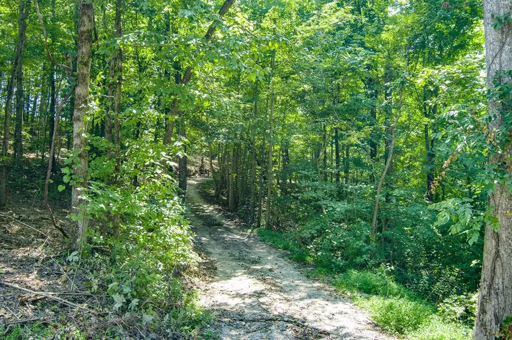 9317 Dobbs Cemetery Baxter TN 38506