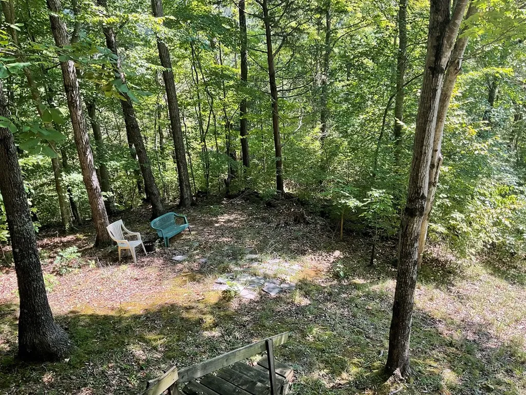 120 Turkey Lane Byrdstown TN 38549