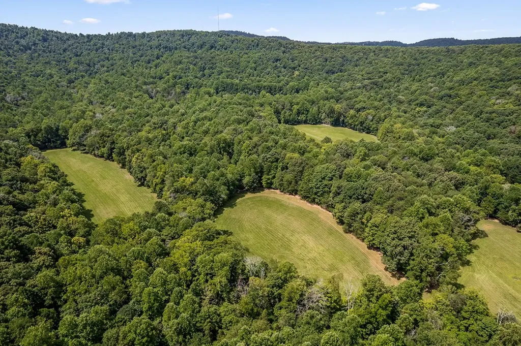 2641 2641 Stamps Shady Grove Road Monterey TN 38574