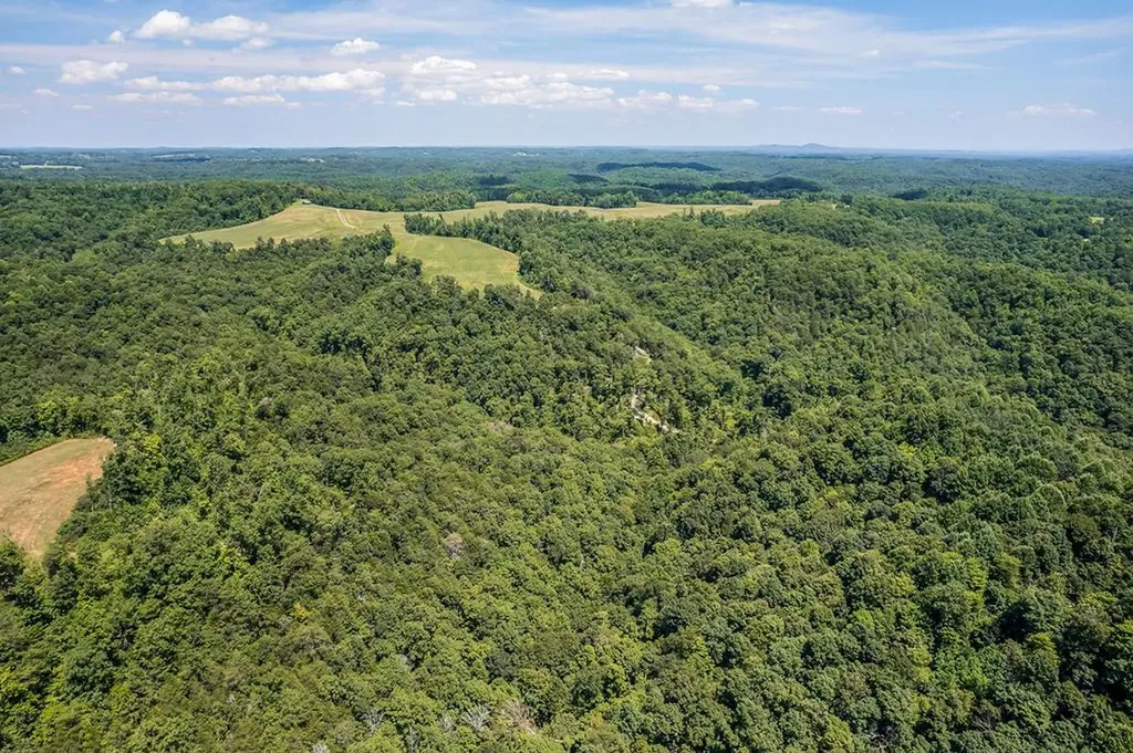 0 Mccormick Ridge Road Whitleyville TN 38588