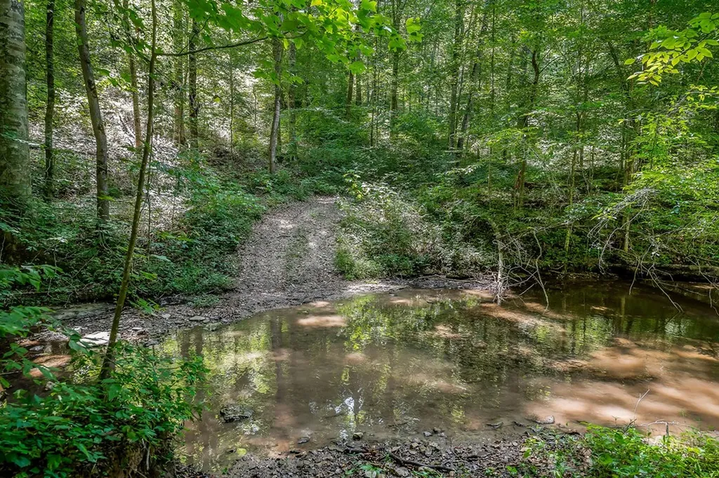 0 Mccormick Ridge Road Whitleyville TN 38588