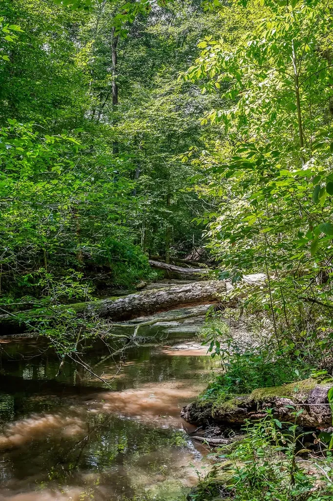 0 Mccormick Ridge Road Whitleyville TN 38588