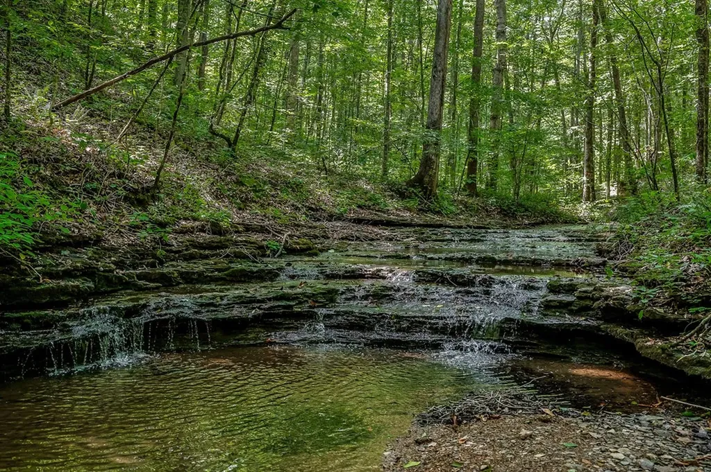 0 Mccormick Ridge Road Whitleyville TN 38588