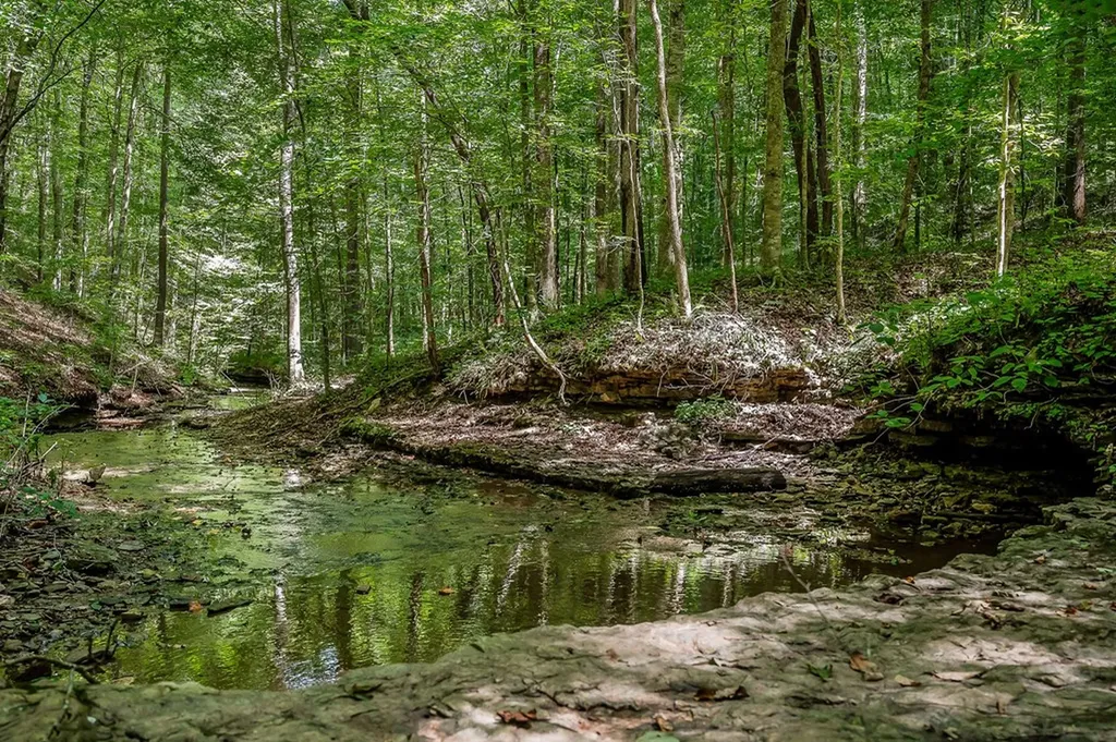0 Mccormick Ridge Road Whitleyville TN 38588