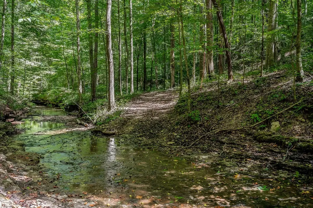0 Mccormick Ridge Road Whitleyville TN 38588
