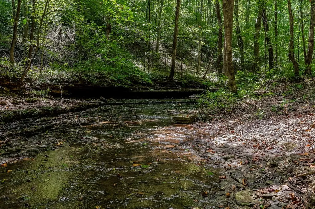 0 Mccormick Ridge Road Whitleyville TN 38588