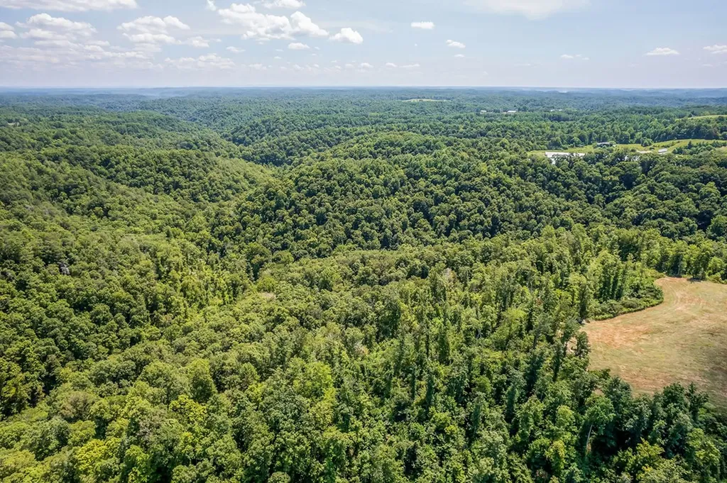 0 Mccormick Ridge Road Whitleyville TN 38588
