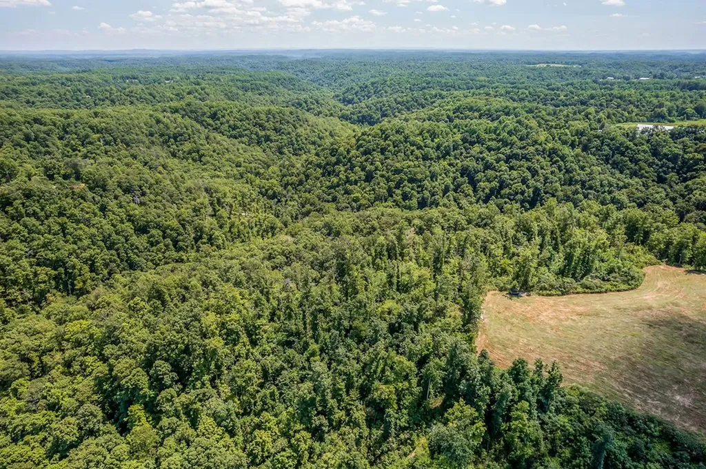 0 Mccormick Ridge Road Whitleyville TN 38588
