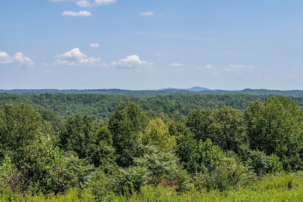 0 Mccormick Ridge Road Whitleyville TN 38588