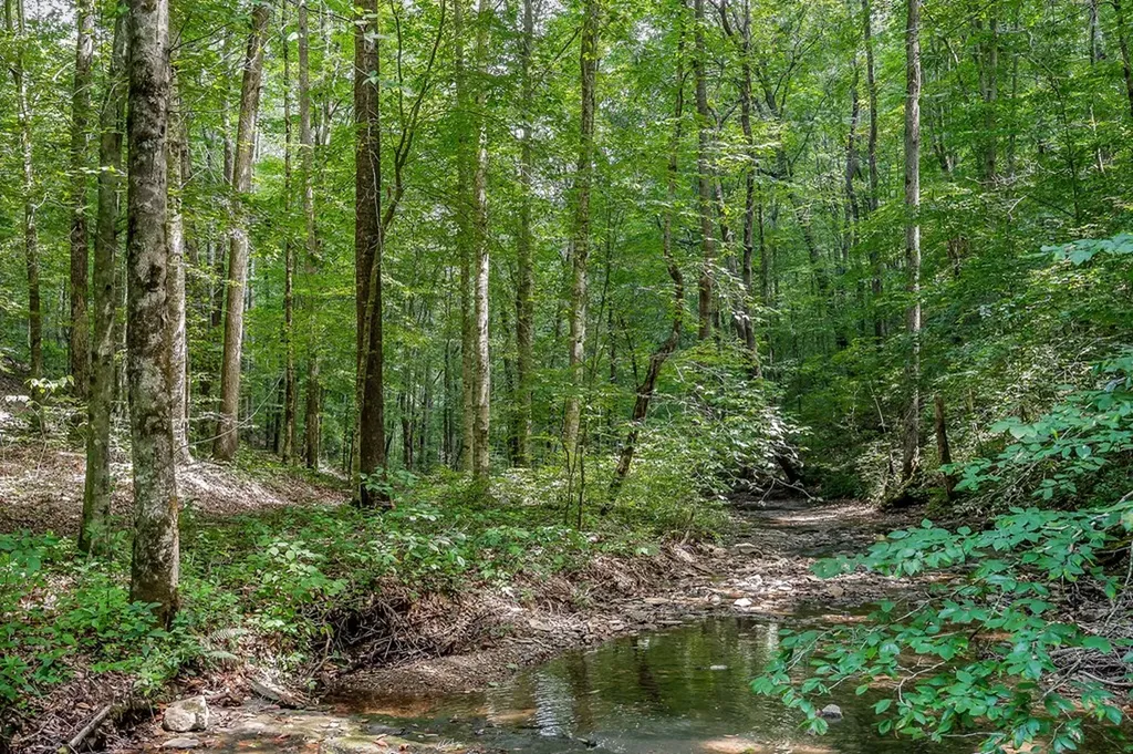 0 Mccormick Ridge Road Whitleyville TN 38588