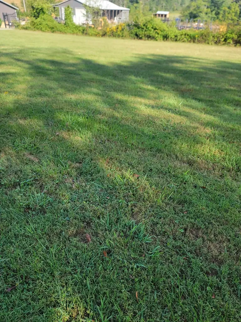 325 Hilham Highway Livingston TN 38570