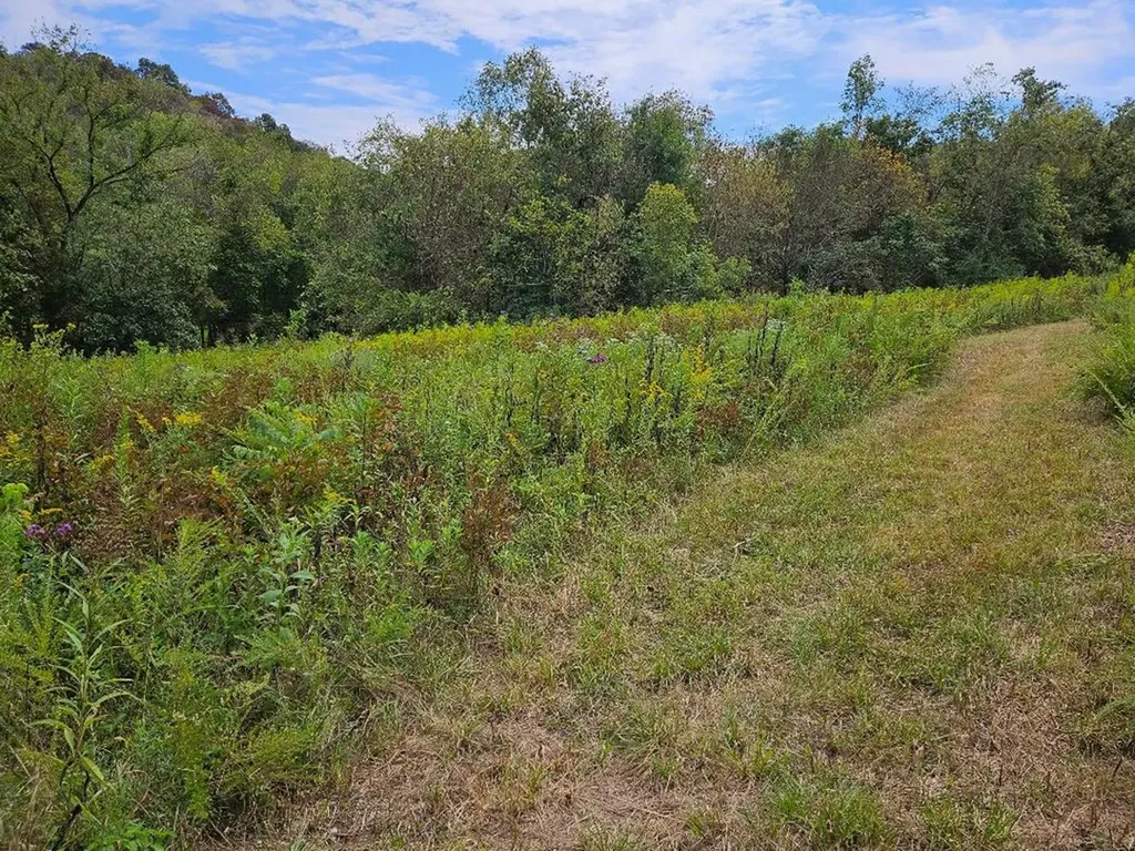 00 Highway 96 Buffalo Valley TN 38548