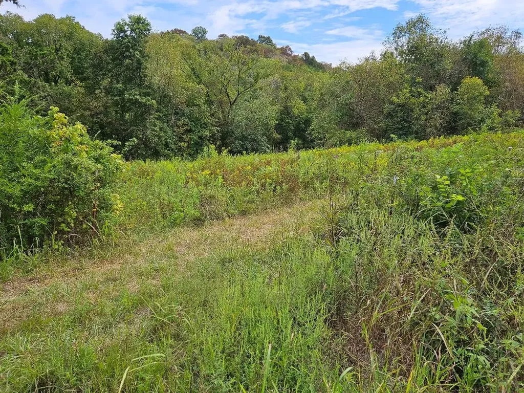 00 Highway 96 Buffalo Valley TN 38548