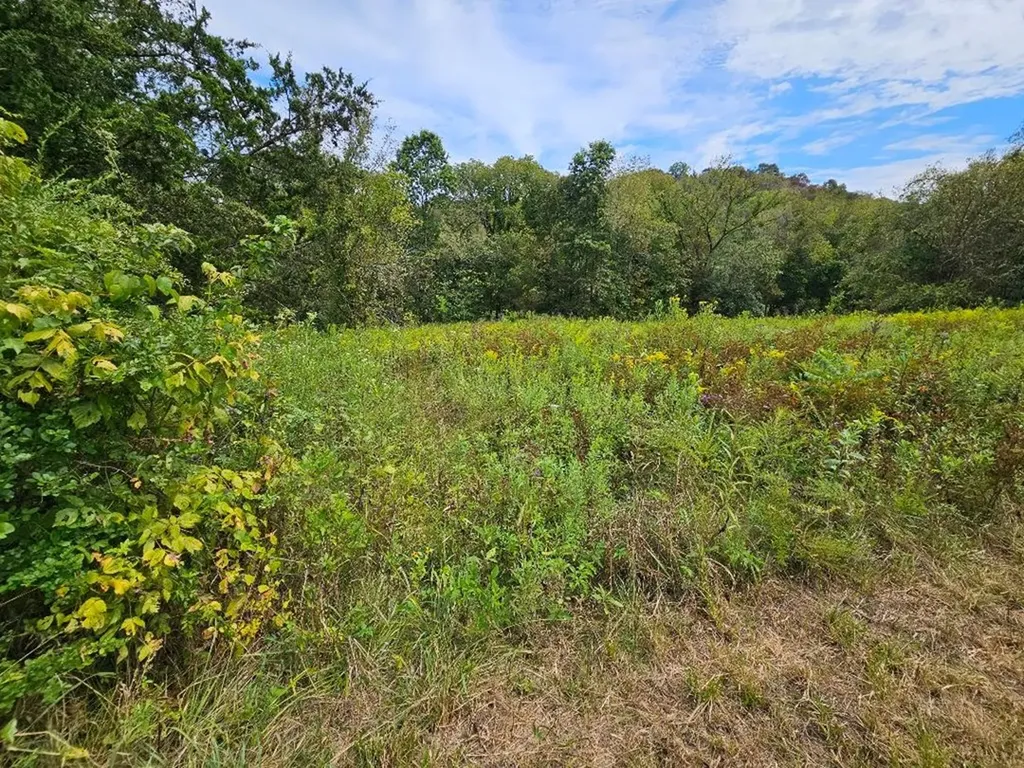 00 Highway 96 Buffalo Valley TN 38548