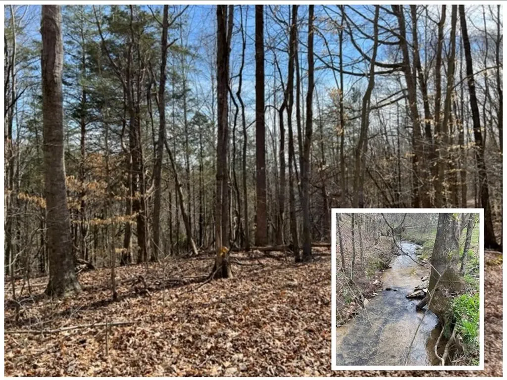 198 Turkey Town Road Hilham TN 38568