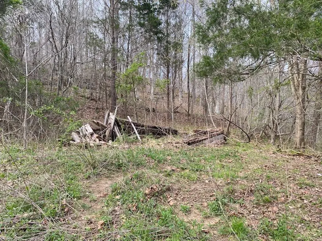 198 Turkey Town Road Hilham TN 38568