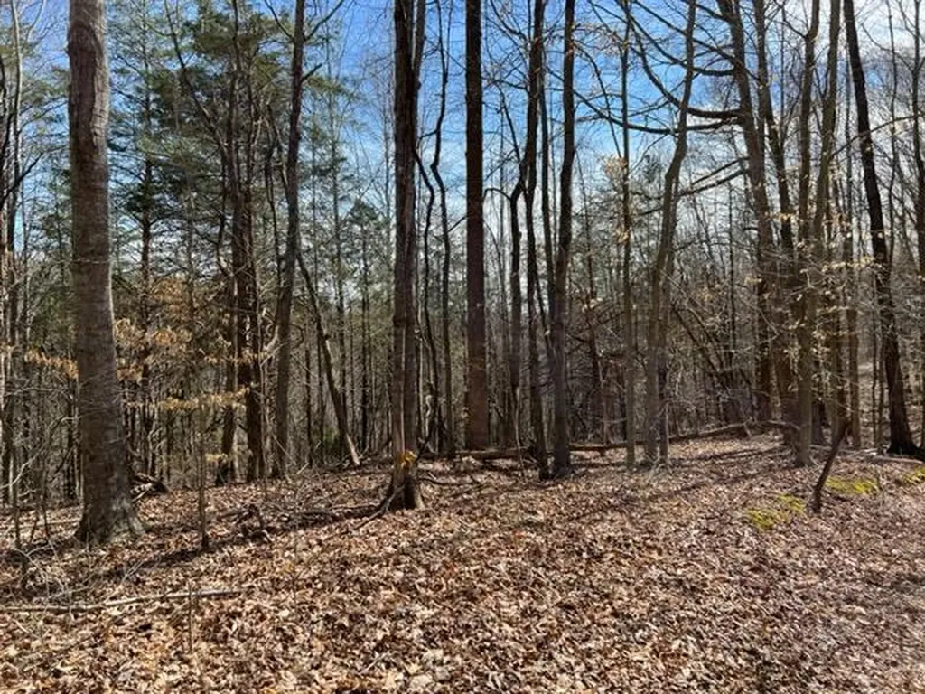 198 Turkey Town Road Hilham TN 38568