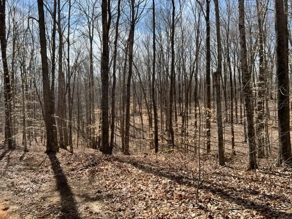 198 Turkey Town Road Hilham TN 38568
